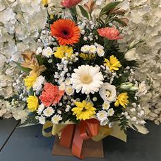 Florist Choice Gift Box