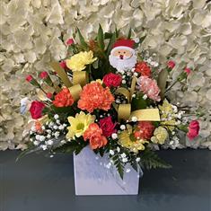 Florist Choice Christmas Gift Bag