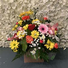 Valentine florist choice gift bag 