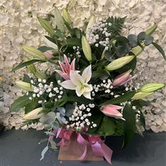 Mixed Lily gift box